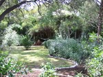 Sep 10: Gardens from the corner of 33rd and Duval