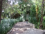 Sep 10: Gardens driveway