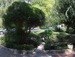Sep 10: Trimmed hedges at the Gardens