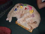 Mar 1: Oh no, there's stuff on my cat! I count 11 frogs. Not bad!
