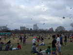 Mar 2: So many kites!