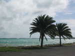 20051113-beachcomber-01.jpg