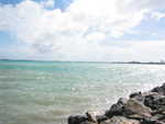 20051113-beachcomber-04.jpg