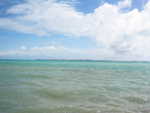 20051113-beachcomber-06.jpg