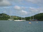20051113-nelson-01.jpg