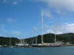 20051113-nelson-05.jpg