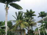 20051113-nelson-09.jpg