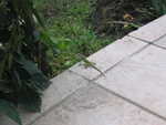 20051107-sunsail-01.jpg