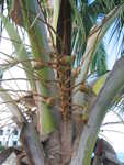 20051107-sunsail-06.jpg
