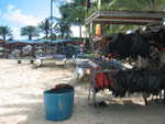 20051107-sunsail-10.jpg