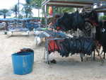 20051107-sunsail-11.jpg
