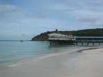20051112-wadadli-cats-01.jpg