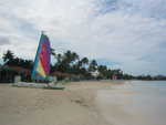 20051112-wadadli-cats-02.jpg