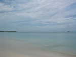20051112-wadadli-cats-05.jpg