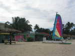 20051112-wadadli-cats-06.jpg