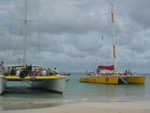 20051112-wadadli-cats-08.jpg