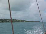 20051112-wadadli-cats-13.jpg