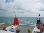 20051112-wadadli-cats-14.jpg