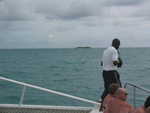 20051112-wadadli-cats-17.jpg