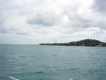 20051112-wadadli-cats-18.jpg