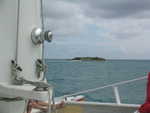 20051112-wadadli-cats-19.jpg