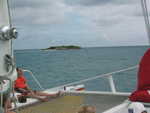 20051112-wadadli-cats-20.jpg