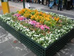 Flowers
