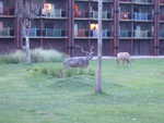 20090620-aklodge-01.jpg