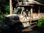 20090620-animal-15.jpg
