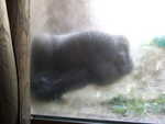 20090620-animal-20.jpg