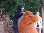 20090620-animal-22.jpg