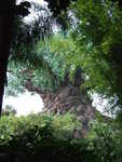 20090620-animal-24.jpg