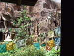 20090620-animal-31.jpg