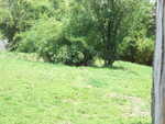 20090620-animal-32.jpg