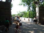 20090620-animal-43.jpg