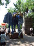 20090620-animal-46.jpg