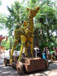 20090620-animal-51.jpg