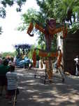 20090620-animal-52.jpg