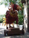 20090620-animal-54.jpg