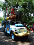 20090620-animal-55.jpg