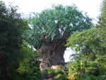 20090620-animal-65.jpg