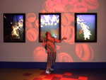 20090621-epcot-02.jpg