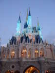 20090619-magic-11.jpg