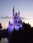 20090619-magic-12.jpg