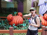 Highlight for Album: Magic Kingdom