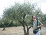 2004081223 pont du gard tree robby
