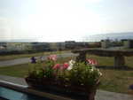 20060721-01.jpg