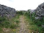 Highlight for Album: Aran Islands