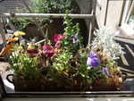 20060717-02.jpg