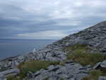 20060724-16.jpg